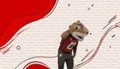 Washington State Go Cougs GIF by WSU Pullman