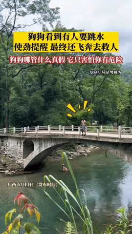 cuteanimalland giphyupload GIF