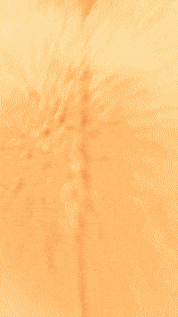 Fox Wolf GIF by Youtooz