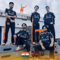 Team India GIF
