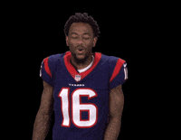 Houston Texans Football GIF by NFL