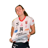 American Smile Sticker by cuneo_granda_volley