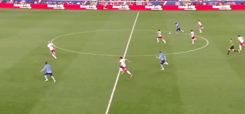 new york red bulls adams GIF by NYRB II