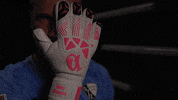 Germany Football GIF by Bundesliga