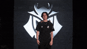 Face Facepalm GIF by G2 Esports