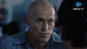 War Seriously GIF by MolaTV
