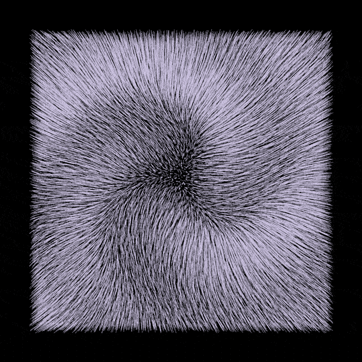 black and white loop GIF by roberthruska