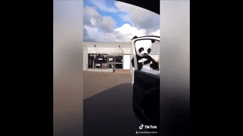 NewbieAndMe giphyupload vibes tiktok panda GIF
