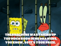 season 5 GIF by SpongeBob SquarePants