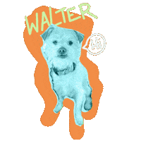 Dog Hello Sticker
