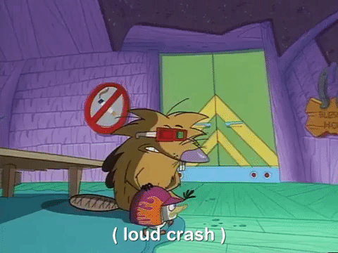 nickrewind giphydvr nicksplat angry beavers giphyab031 GIF