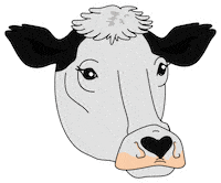Cow Sanctuary Sticker by Generación Vegana