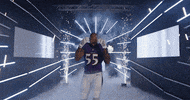Dance Reaction GIF by Baltimore Ravens