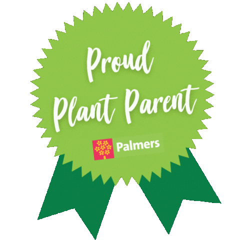 Palmersnz giphyupload houseplants plant parent new plant Sticker