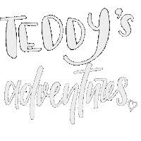 Adventure Teddy Sticker