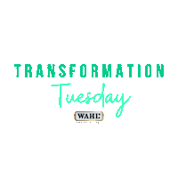 wahlanimal dog horse tuesday transformation Sticker