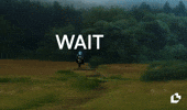 Monty Python Wait GIF by LitVM