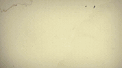Stars Club GIF by Xerjoff
