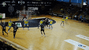 Czech Republic Handball GIF by HCB Karviná