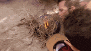 survivor australia GIF by Australian Survivor