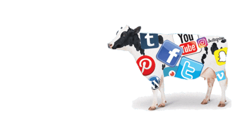 social media marketing Sticker by SocialCow