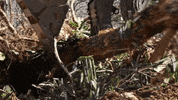 Drop Cutting GIF by JC Property Professionals