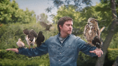 eagle GIF