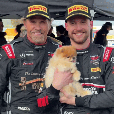 Jeff Burton Pomeranian GIF