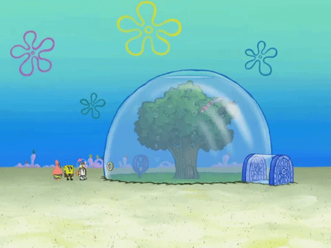 season 8 bubble troubles GIF by SpongeBob SquarePants