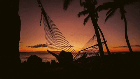Sunset Hawaii GIF by Switzerfilm