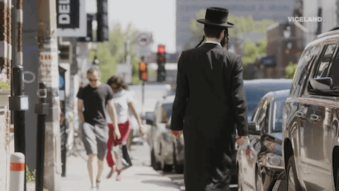 viceland GIF by Dead Set on Life