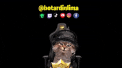 botardin streamer gato vtuber trovo GIF