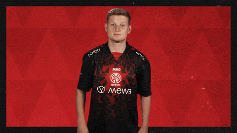 Mainz 05 Football GIF by Bundesliga