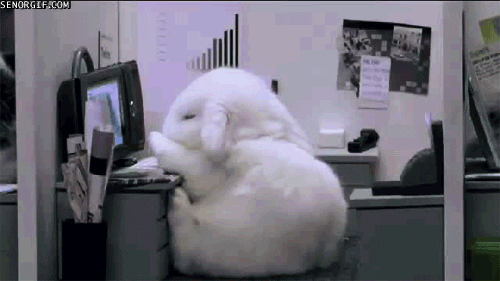 work falling GIF by Cheezburger