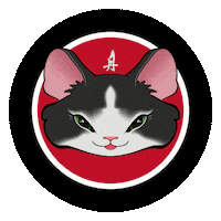 Funny Cat Lens Sticker
