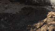 Grading John Deere GIF by JC Property Professionals