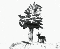 Lonely Tree GIF