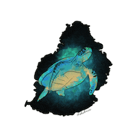 Turtle Maurice Sticker