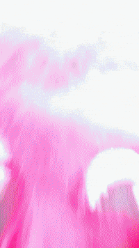 Braddelson Joehahn GIF by Youtooz