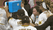 Major League Baseball Sport GIF by MLB