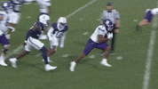 The Beast Touchdown GIF by Northwestern Athletics
