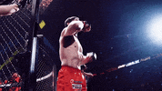 GIF by ONE Championship