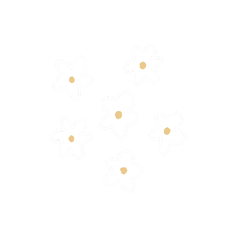 carleeecarroll flower flowers floral daisy Sticker