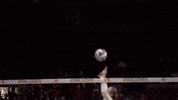 Volleyball Herrera GIF by CyclonesTV