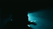 Water Wave GIF by Mason Gold