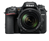 Nikon Nikoninstabadge Sticker by NikonIndia