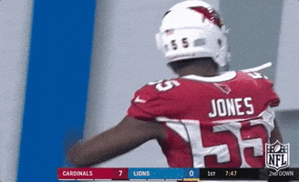 Arizona Cardinals Football GIF by NFL