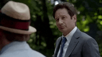 x files GIF by The X-Files