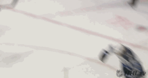 Ice Hockey Hug GIF by NHL