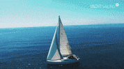 yachtsailing  GIF